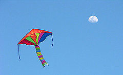 http://www.zocalo.cl/fonda/wp-content/uploads/2008/12/volantin2.jpg