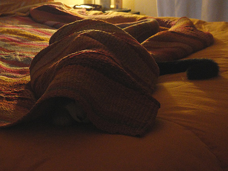 Adivina