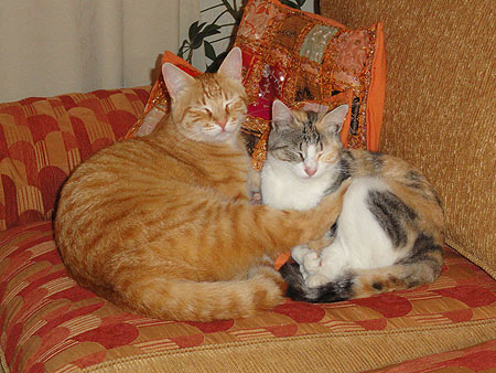 Junior y Melisa