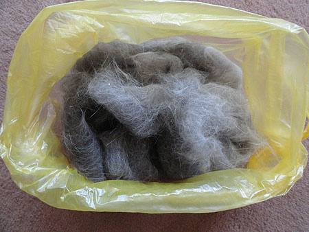 Pelo