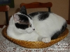 domino04_1024x768.jpg