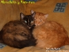 duo01_1024x768.jpg