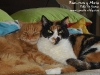 duo06_1024x768.jpg