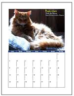 Calendario de Pared 2009