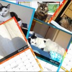 Por fin humano hizo nuestros calendarios