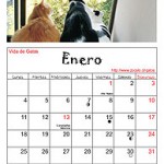 ¡¡¡Bienvenido 2010!!!