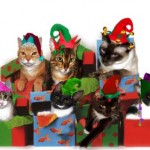 ¡¡FELIZ NAVIDAD A LA BLOGÓSFERA GATUNA!!