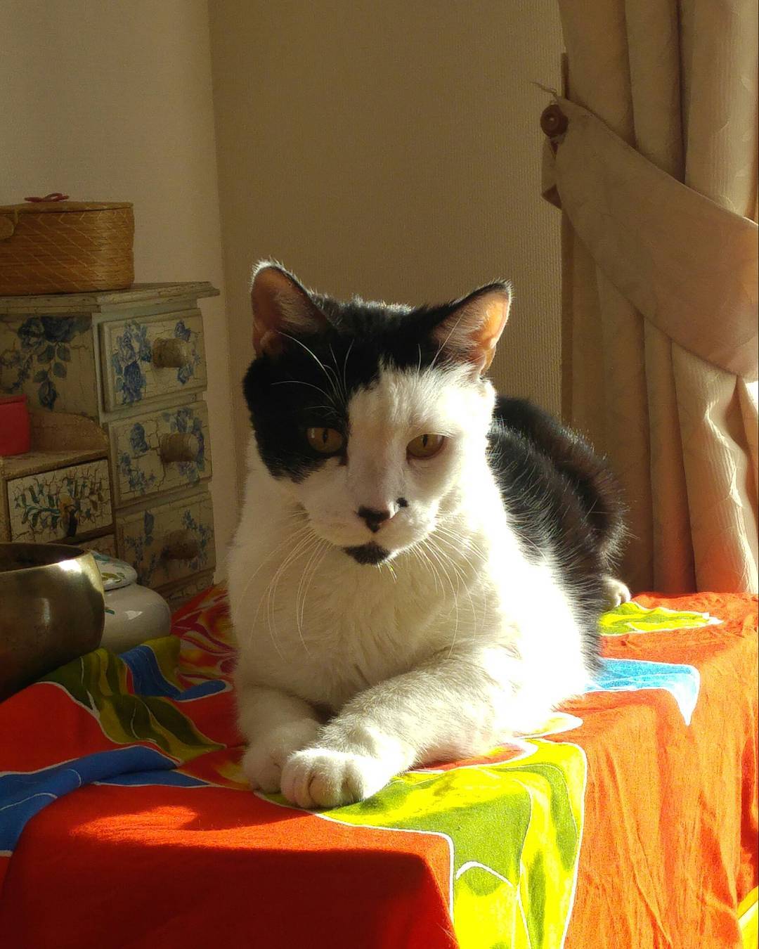 Pirata pensativo. #pirata