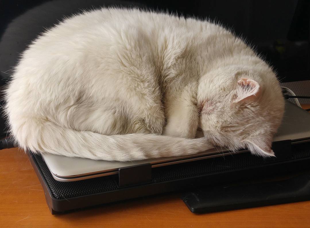 Apropiación completada…