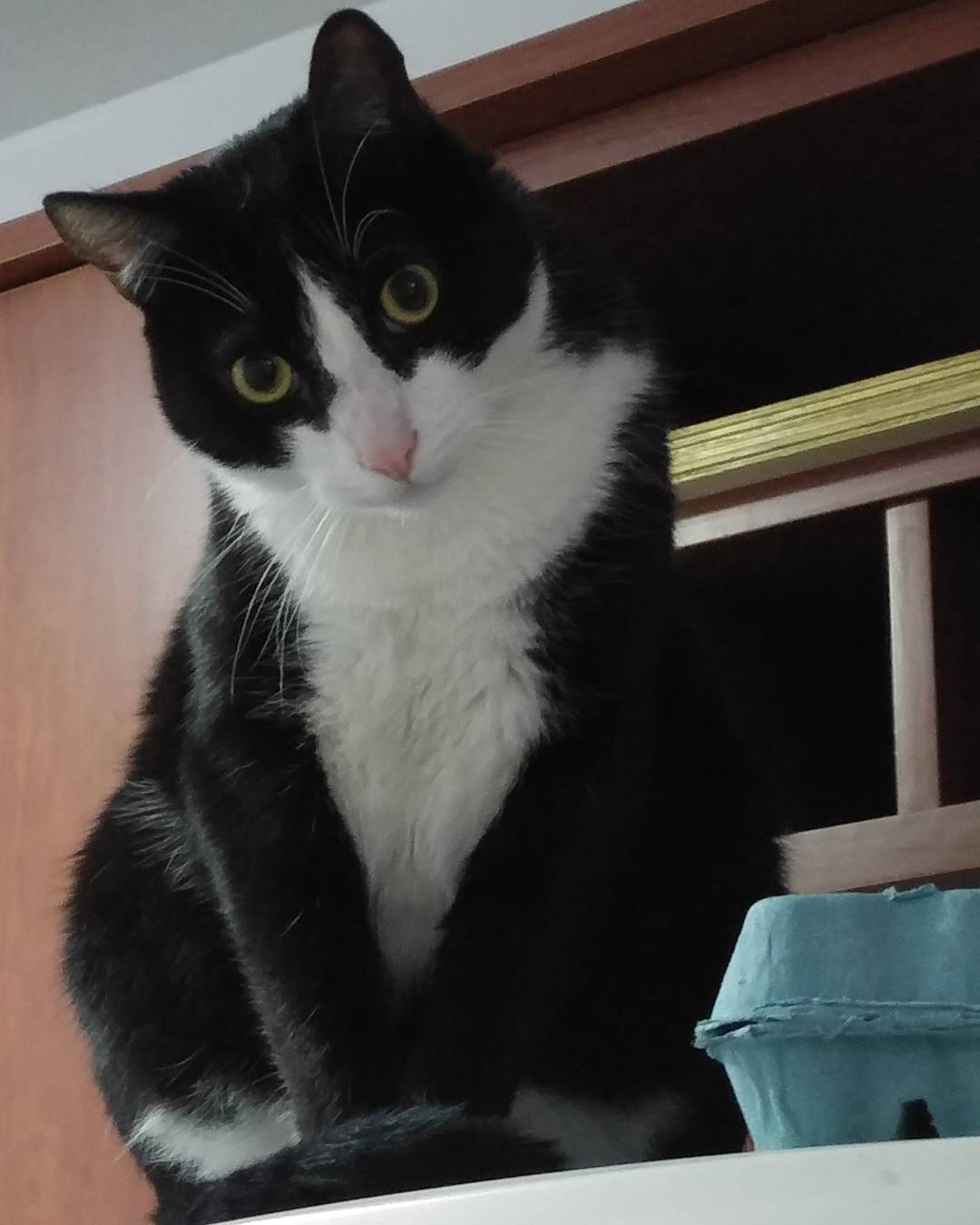 Desde aquí dominaré al mundo!