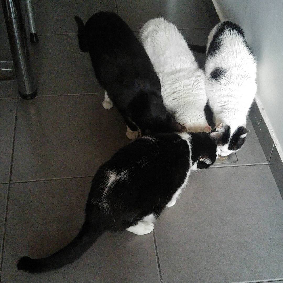 Milagros de San Atún. Todos juntos ya