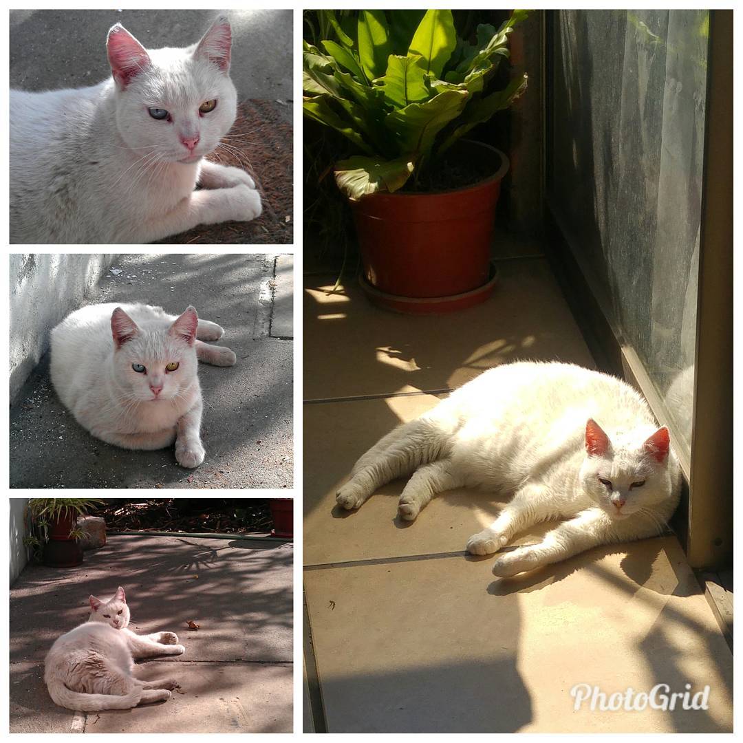 4 años y medio de diferencia y de vida