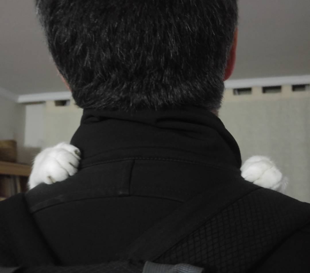 Mi humano favorito