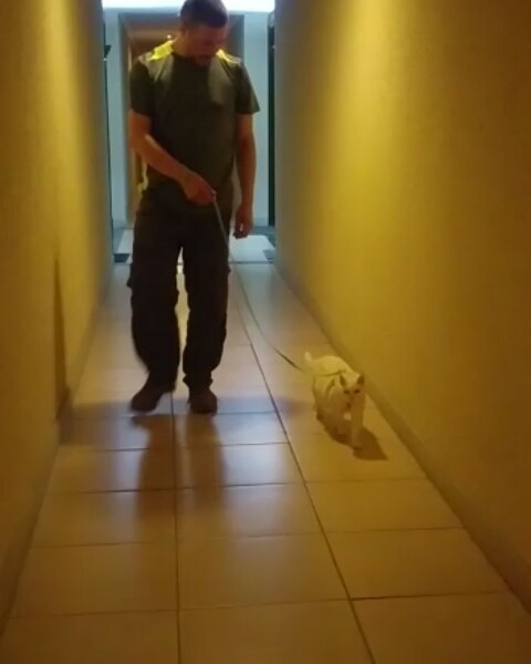 Me tienen en entrenamiento, parece que se vienen aventuras