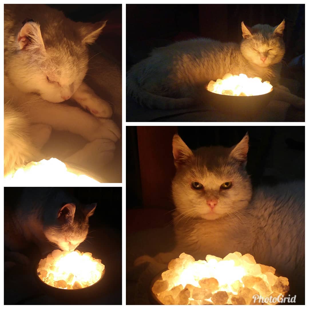 Gracias humano por regalarme un delicioso y tibio caldero mágico