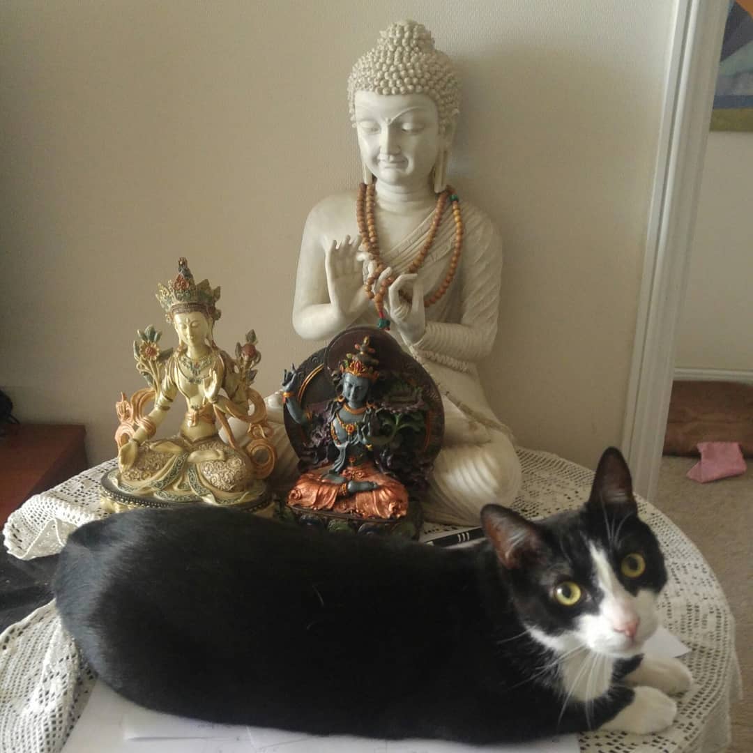 Me gusta Buda. Sabían?