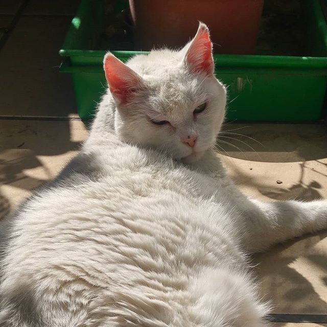 Buenas tardes