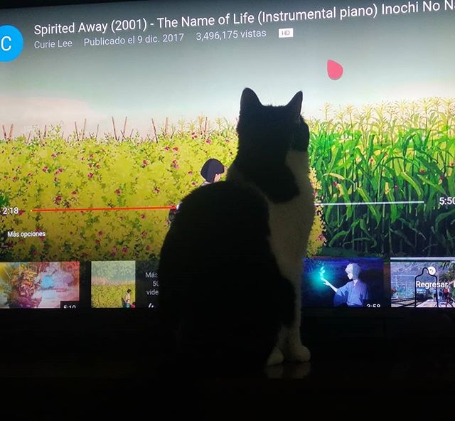 Humanos quieren ver una película, mientras la encuentran, yo juego