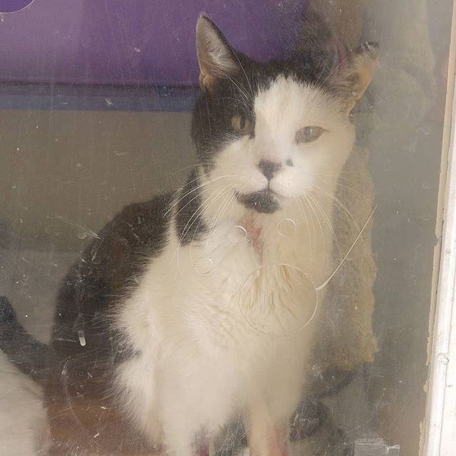 Me voy a casa! Dicen que con cuidados especiales. Y mañana me ve el señor que da gotitas