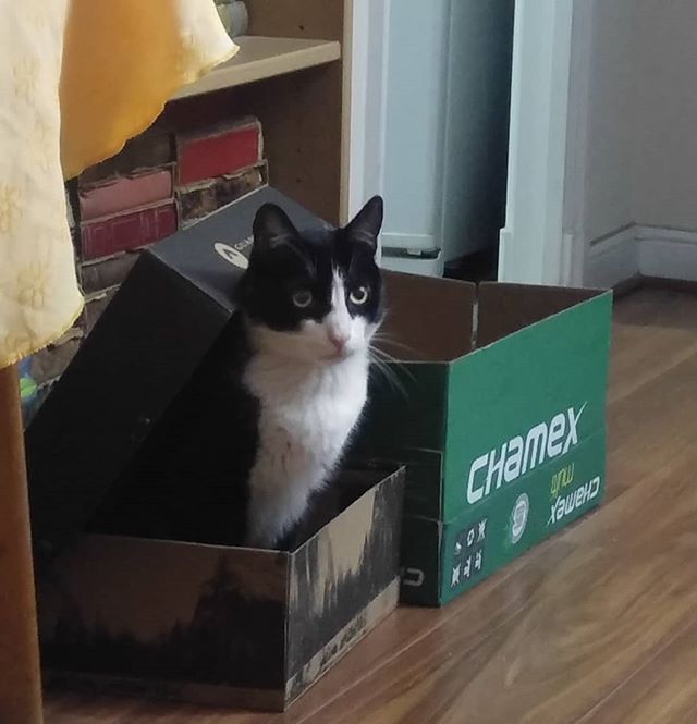 Mmm… No sé si me gusta la nueva integrante… irá a jugar conmigo? Es tan pequeña ella