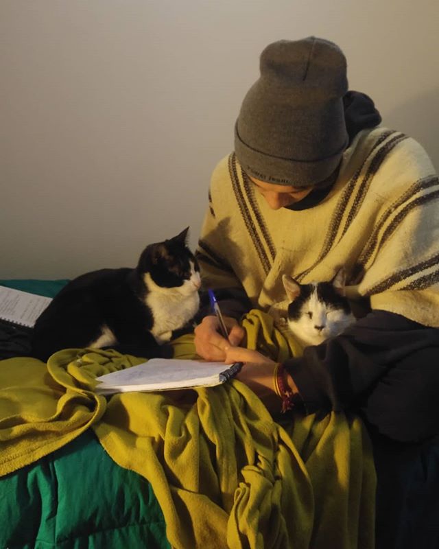 El humano adolescente está con algo que llaman pruebas, y lo estamos ayudando y apoyando