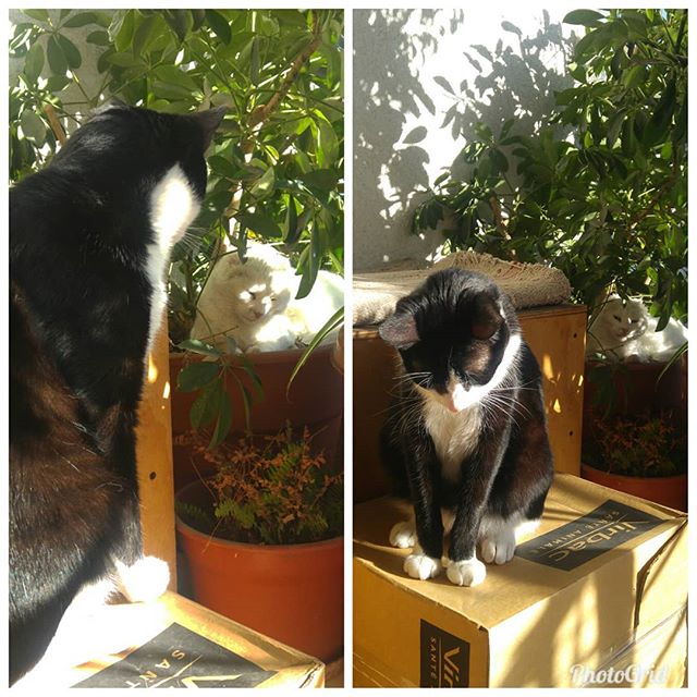 Mauuuu.. Ella no quiere jugar conmigo