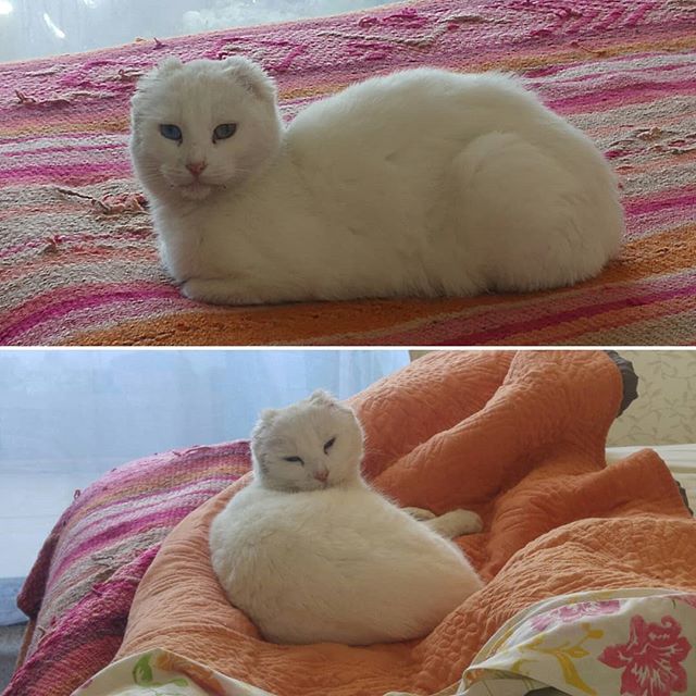 Me está gustando esto de tener una cama disponible para m