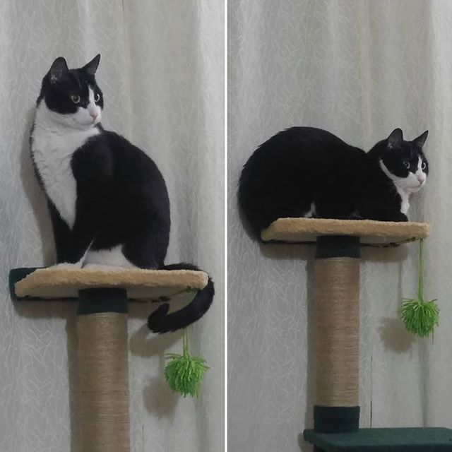 Casi me queda chico este poste