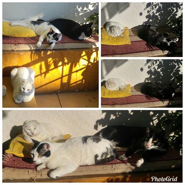 Tarde soleada dominical