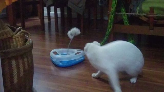 Miren lo que descubrí en un rincón de casa