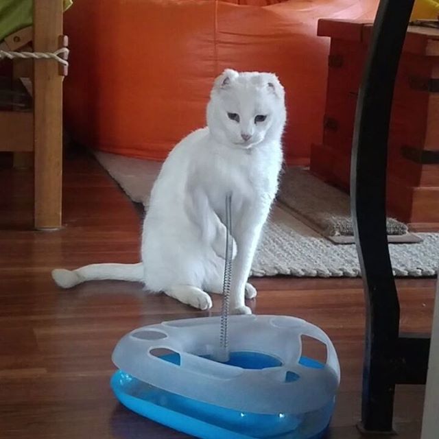 Entrenamiento matutino. Million dollar baby es mi inspiración