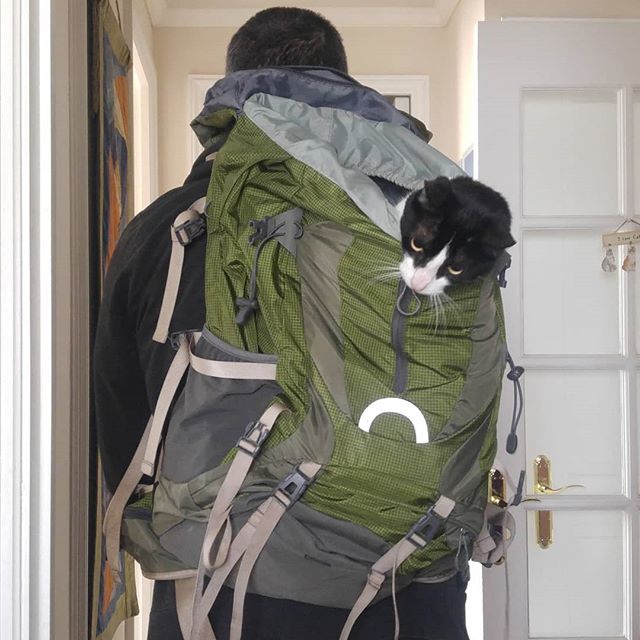 Será que me van a llevar de viaje?