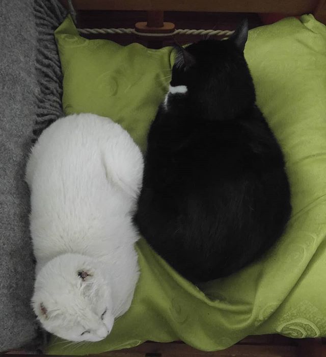 Diferencia de tamaño