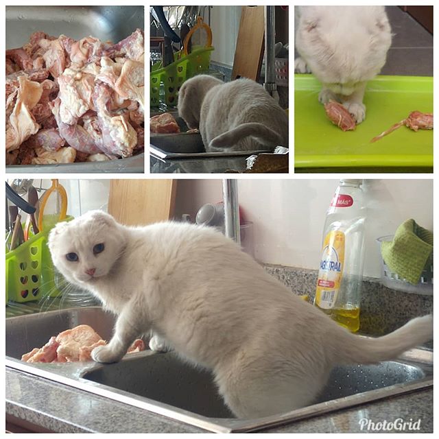 Comida deliciosa! No me pude aguantar… ???? Gracias @aus_villaland