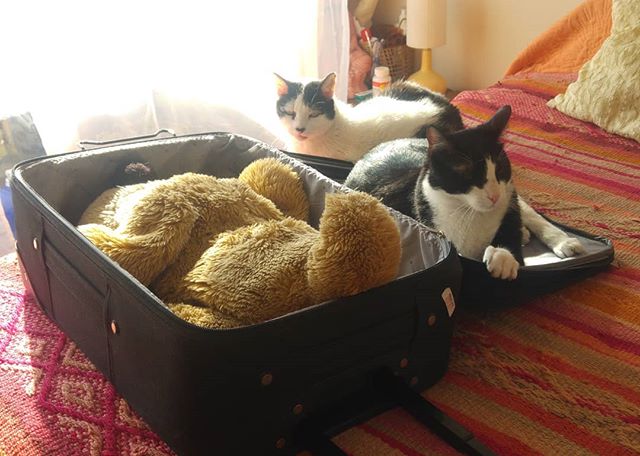 Humana, ni se te ocurra dejarnos