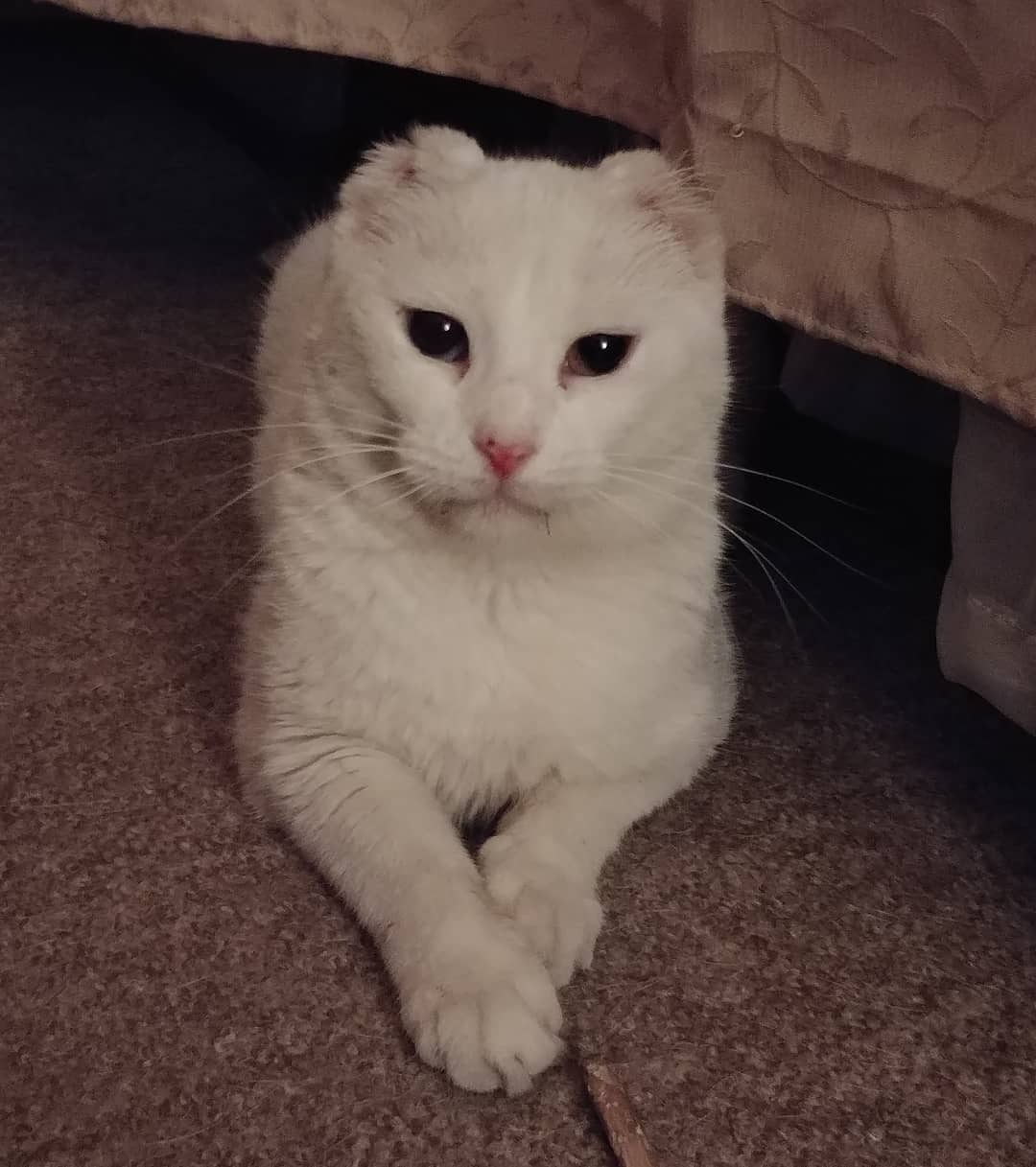 Esperando mi sesión de juego nocturno