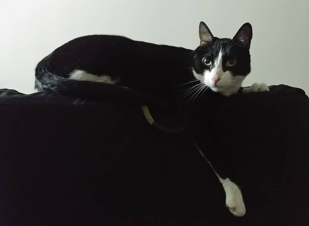 Está bueno este mirador… Aunque me lo cambiaron de lugar