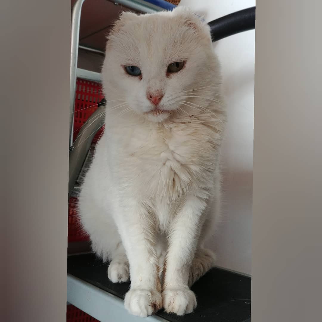 Preguntaban por mí?
Aquí estoy, esperando que me alimenten