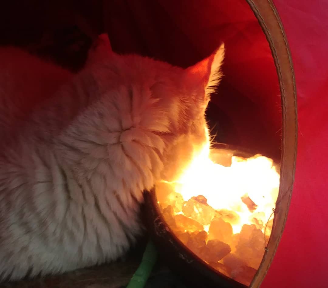 Temporada de lámpara de sal