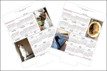Calendario Vida de Gatos 2011