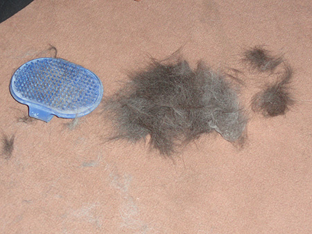Pelo