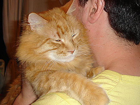 Run-run en pleno regaloneo