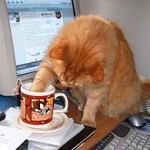 Café Matinal