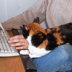 Es muy cómodo aquí