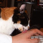 Yo también quiero a mi humano