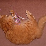 Estuve recordando viejos tiempos