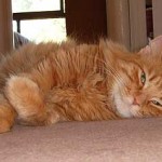 Que día más latero