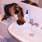 Agua….