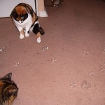 Tenemos juguete nuevo