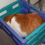 Miren lo que encontr&eacute; en el computador de mi humana